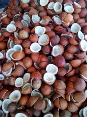 Copra (Dry Coconut)